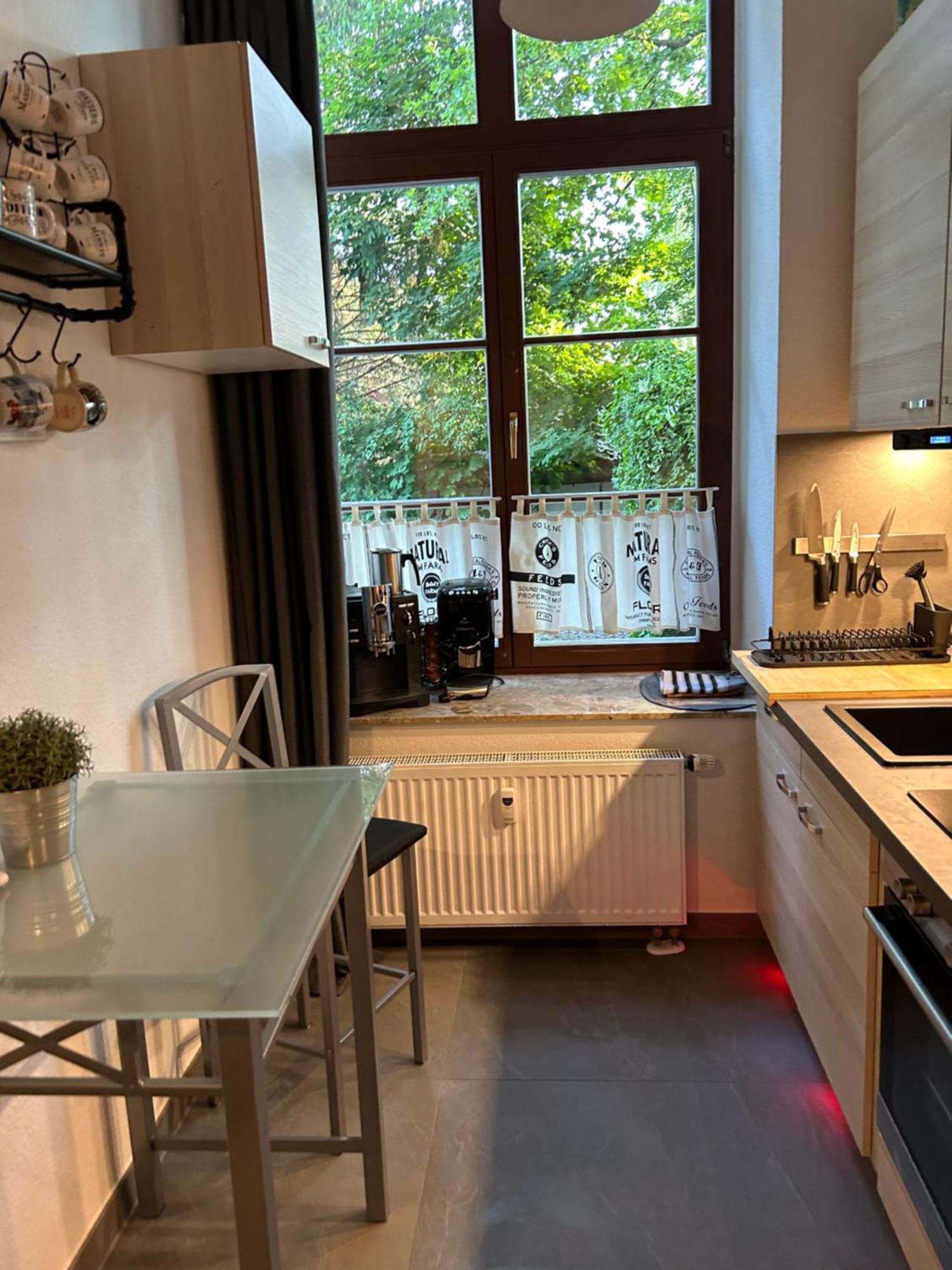 Ruhige Wohnung Im Fabrikstil In 켐니츠 외부 사진